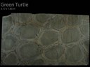 GREEN TURTLE CALL 0422 104 588 ABOUT THIS MATERIAL
